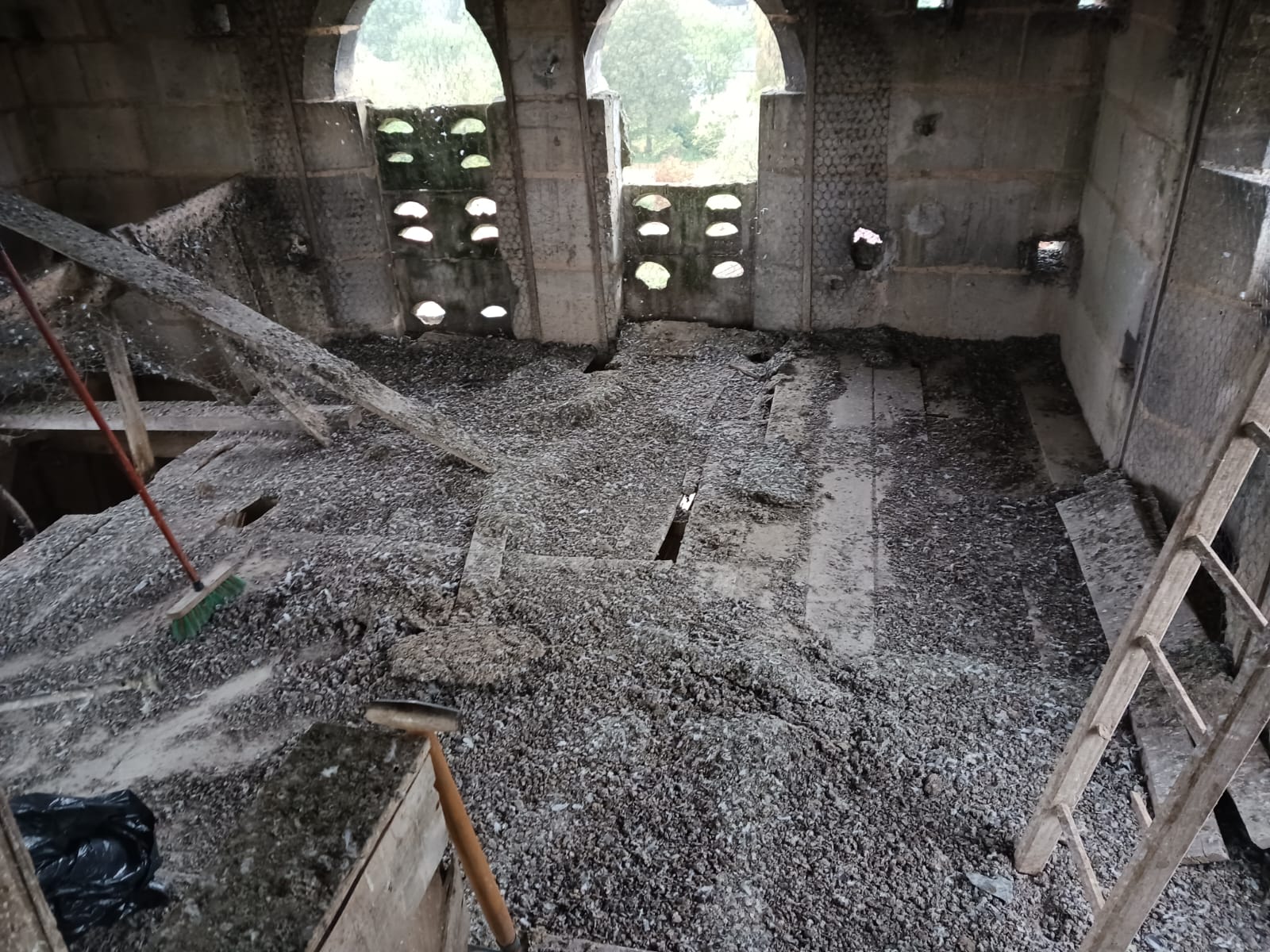 Les risques liés aux fientes de pigeon et comment les minimiser : le rôle essentiel de SOS DC à Alfort et dans les villes environnantes WhatsApp Image 2024 10 21 A 11.46.39 436f43a6